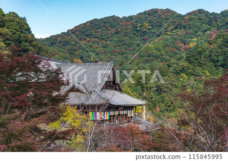 奈良長谷寺大殿的秋景 115845995