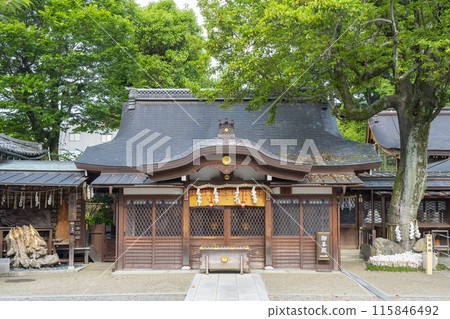 京都禦所 西宮神社 祈願殿 靈樹 115846492
