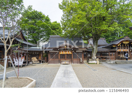 京都禦所 西宮神社 祈願殿 靈樹 115846493