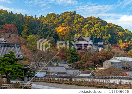 Autumn scenery at Hasedera Temple in Nara - View of the main hall from the main temple Autumn scenery at Hasedera Temple in Nara - View of the main hall from the main temple 115846666