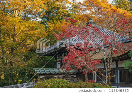 奈良長谷寺院內的秋景 奈良長谷寺院內的秋景 115846885