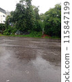 The streets and trees in the pouring rain 115847199