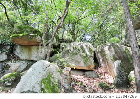 深山中長滿青苔的巨大岩石 深山中長滿青苔的巨大岩石 115847269