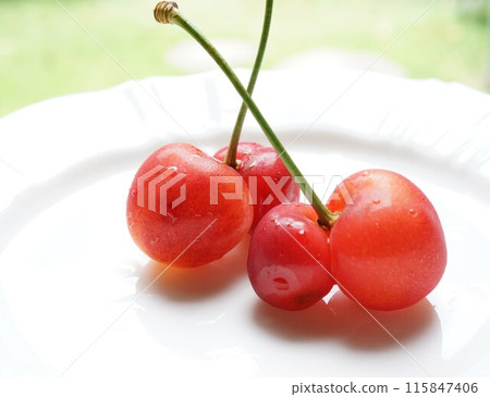 雙櫻桃 雙櫻桃 115847406