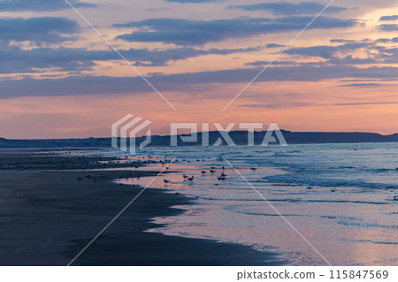 A beautiful sunset over the seaside with birds and gentle waves creating a tranquil scene 115847569