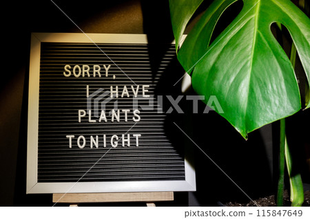Funny joke idea inscription saying SORRY I HAVE PLANTS plans TONIGHT Monstera silhouette leaf in dark background and light from sunset aesthetic lamp. Projector yellow light golden hour effect. House Funny joke idea inscription saying SORRY I HAVE PLANTS plans TONIGHT Monstera silhouette leaf in dark background and light from sunset aesthetic lamp. Projector yellow light golden hour effect. House 115847649