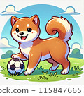 Shiba Inu playing with ball 115847665