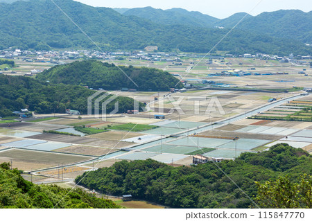 淡路島和南淡路市的田園風光 115847770