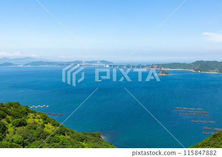從淡路島看到的鳴門海峽和大鳴門大橋 115847882