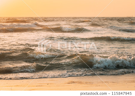 Sea ocean water surface with foaming small waves at sunset. Evening sunlight sunshine above sea. Ocean water foam splashes washing sandy beach. Crashing waves of sandy coastline. Natural sunset sky 115847945