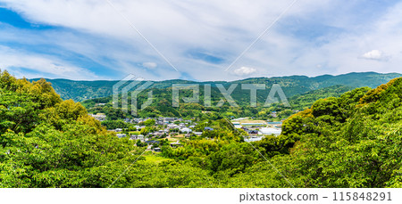 鮮綠的江東海中央公園全景【長崎市】 115848291