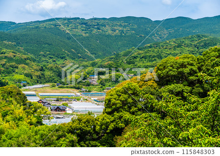 Fresh greenery at Kinkai Central Park [Nagasaki City] 115848303