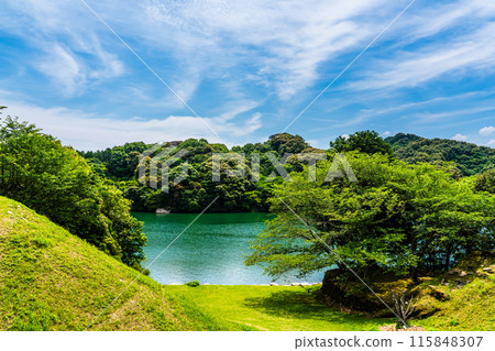 Fresh greenery at Kinkai Central Park [Nagasaki City] 115848307