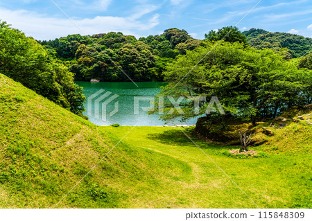 江東海中央公園的新綠色【長崎市】 115848309