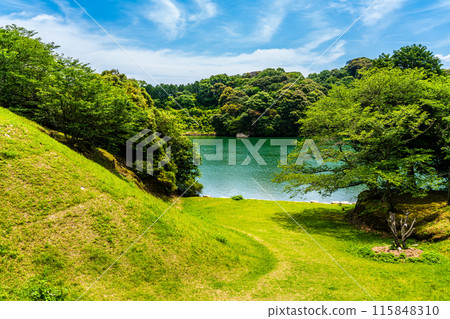 江東海中央公園的新綠色【長崎市】 115848310
