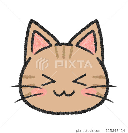 Cat's smiling face (brown tabby cat) 115848414