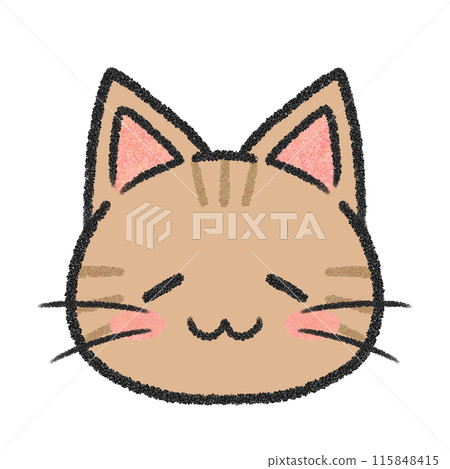 貓的睡臉（棕色虎斑貓） 115848415