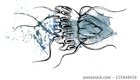 Watercolor and ink hand drawn marine life, sea ocean underwater creatures. fish, shells algae seaweed. Single object illustration, stylized, isolated on white. Zoo shop, aquarium, cosmetics, resort 115848416