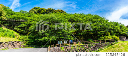 Fresh greenery at Kinkai Central Park, a suspension bridge in the forest, panorama [Nagasaki City] 115848426