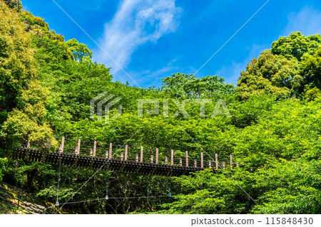 鮮綠的江東海中央公園、森林吊橋【長崎市】 115848430