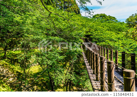 鮮綠的江東海中央公園、森林吊橋【長崎市】 115848431