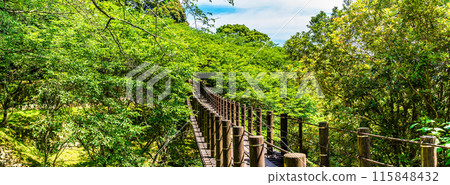 Fresh greenery at Kinkai Central Park, a suspension bridge in the forest, panorama [Nagasaki City] 115848432