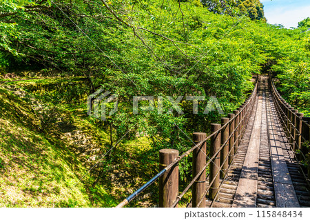 鮮綠的江東海中央公園、森林吊橋【長崎市】 115848434