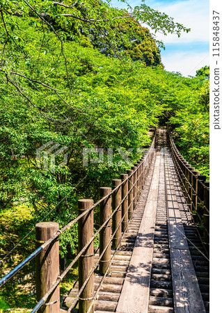 Kinkai Central Park with fresh greenery: Suspension bridge in the forest [Nagasaki City] 115848437
