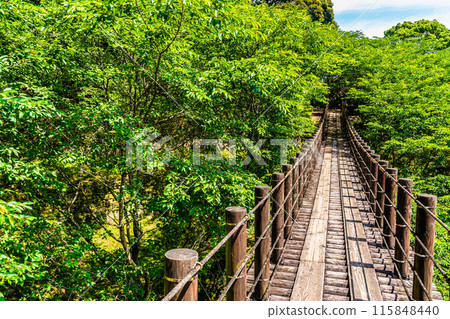 Kinkai Central Park with fresh greenery: Suspension bridge in the forest [Nagasaki City] 115848440