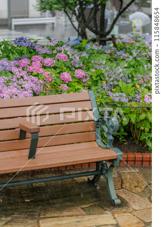 繡球花在雨中濕 繡球花在雨中濕 115848654