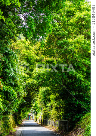 Green Tunnel Railway Remains [Unzen City, Nagasaki Prefecture] 115849492