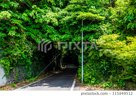綠隧道鐵路遺址【長崎縣雲仙市】 綠隧道鐵路遺址【長崎縣雲仙市】 115849512
