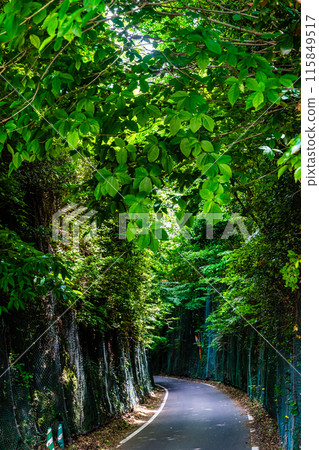 Green Tunnel Railway Remains [Unzen City, Nagasaki Prefecture] 115849517