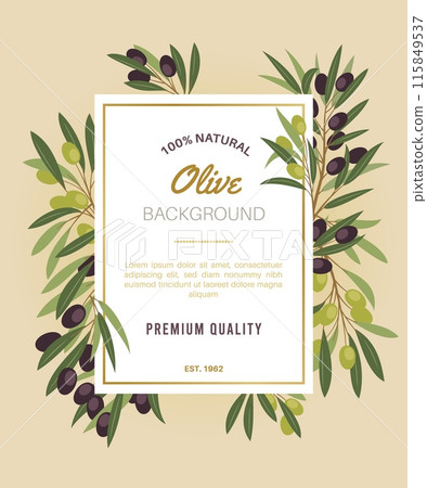 Olive twigs frame. Black and green berries, mediterranean plant branches, natural product, organic food, oil ingredient, product label design, card or poster, invitation tidy vector concept Olive twigs frame. Black and green berries, mediterranean plant branches, natural product, organic food, oil ingredient, product label design, card or poster, invitation tidy vector concept 115849537