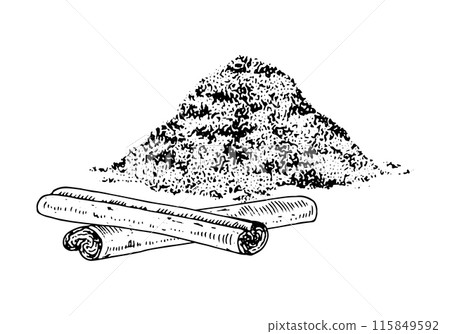 Cinnamon sticks and powder. Vector hand drawn illustration. Ground cooking canella for baking. Vintage black and white art on background. Food clipart sketch drawing. For spice packaging design 115849592