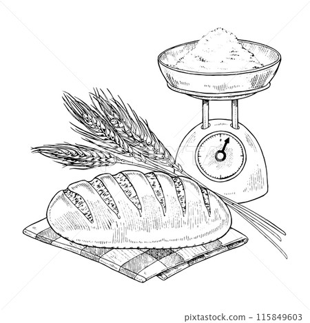 Bread with Wheat Vector hand drawn illustration. Freshly baked loaf sketch drawing. Vintage white and black line art on background. Food and flour for design. Preparation of pastry in the bakery 115849603