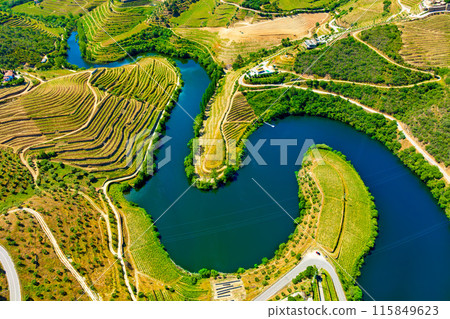 Aerial view of the terraces of the Douro Vineyards on a summer day 115849623