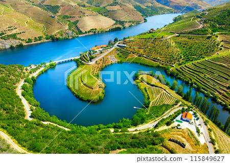 Aerial view of the terraces of the Douro Vineyards on a summer day Aerial view of the terraces of the Douro Vineyards on a summer day 115849627