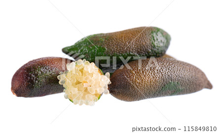 Fresh finger limes isolated on white background. Caviar lime. Fruits pods. Clipping path. 115849810
