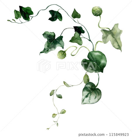 Watercolor floral bouquet featuring bedstraw, herbs and grass. Hand-drawn card of a plant bouquet on a white background. An outdoor illustration for design, printing or fabric background. Watercolor floral bouquet featuring bedstraw, herbs and grass. Hand-drawn card of a plant bouquet on a white background. An outdoor illustration for design, printing or fabric background. 115849923