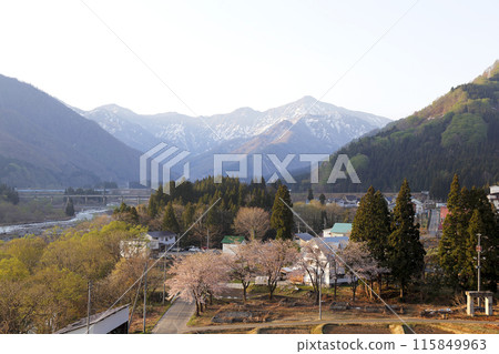 Snow-capped mountains in the distance and cherry blossoms blooming in the countryside Snow-capped mountains in the distance and cherry blossoms blooming in the countryside 115849963