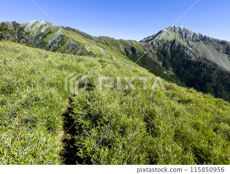 合歡山，高山步道，高山，台灣，山脈，Hehuan Mountain、高山トレイル、高山、台湾、山地、 115850956