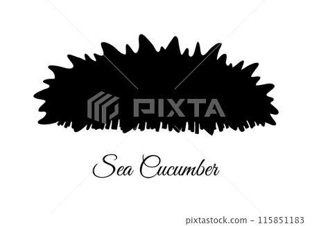 Sea cucumber silhouette isolated Sea cucumber silhouette isolated 115851183