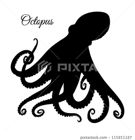 Octopus silhouette isolated Octopus silhouette isolated 115851187