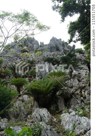 Huge rocks of Mt. Daisekirin Huge rocks of Mt. Daisekirin 115851708