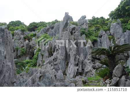 Huge rocks of Mt. Daisekirin Huge rocks of Mt. Daisekirin 115851710