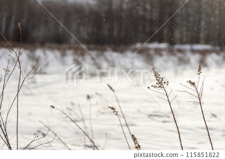 戰場原被白雪覆蓋 115851822