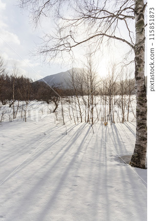戰場原被白雪覆蓋 115851873