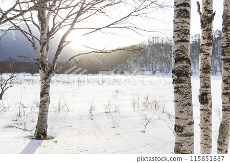 戰場原被白雪覆蓋 115851887