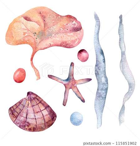 Variety of sea life elements as a starfish, seashell, seaweed, and stones in watercolor. Underwater set hand drawn illustration in a vibrant palette of pinks and blues. Colorful marine life clipart Variety of sea life elements as a starfish, seashell, seaweed, and stones in watercolor. Underwater set hand drawn illustration in a vibrant palette of pinks and blues. Colorful marine life clipart 115851902